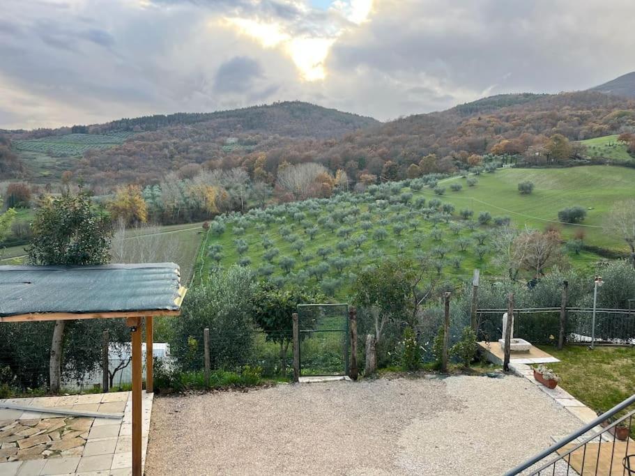 Appartement Costa Del Sole 46 à Cetona Extérieur photo